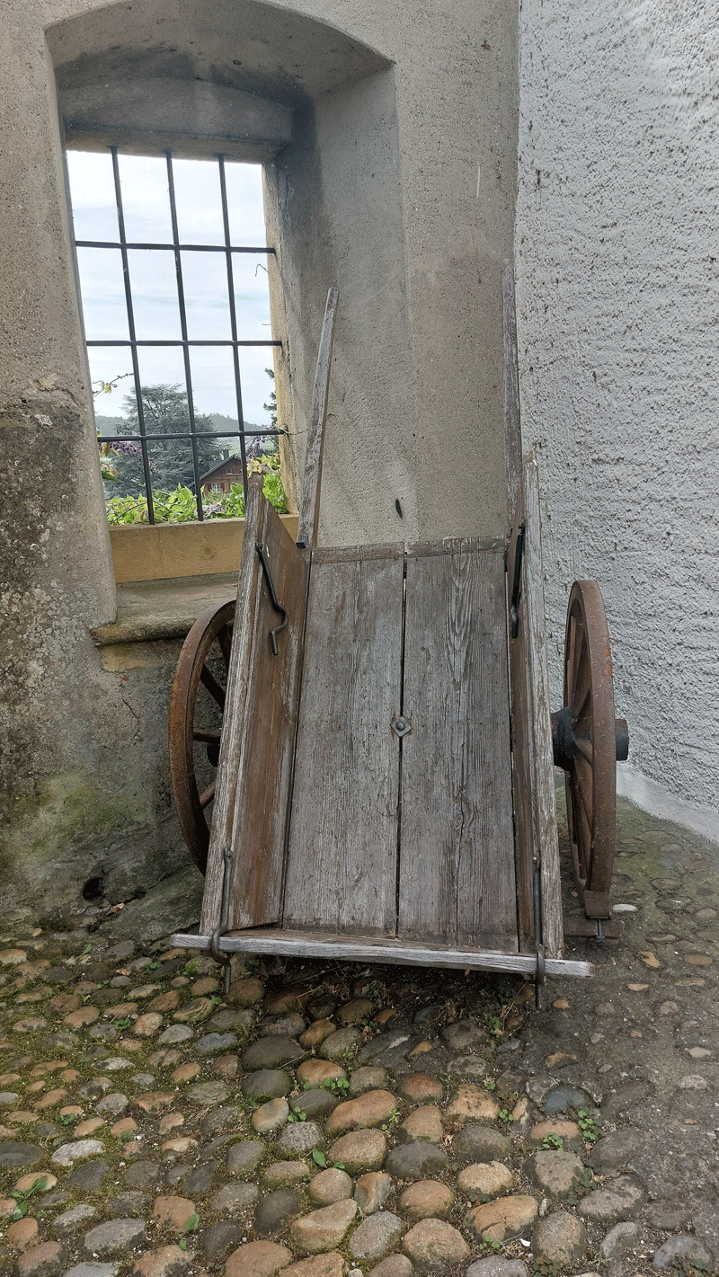 Galeriebild